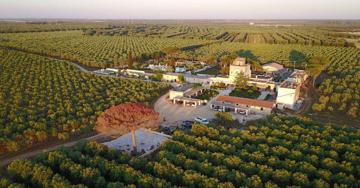 Een foto van de buitenkant van Tenuta Mazzetta Agriturismo
