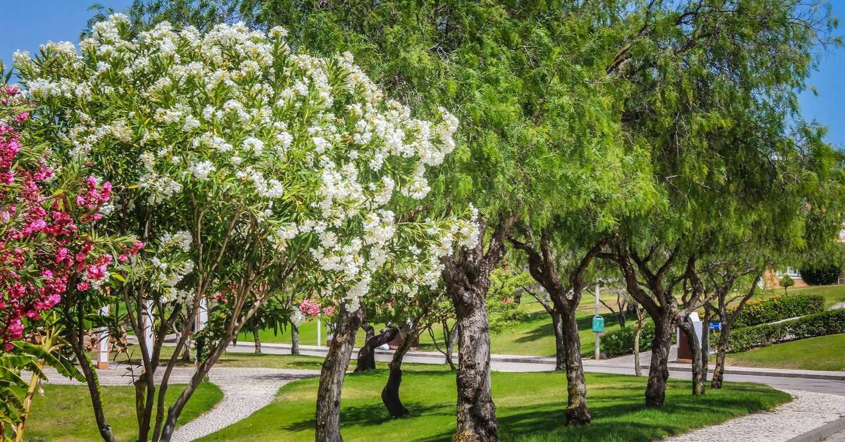Een foto van de buitenkant van Colina Villas