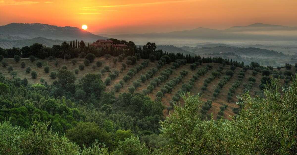 Ein Foto Montebelli Agriturismo Country Hotel