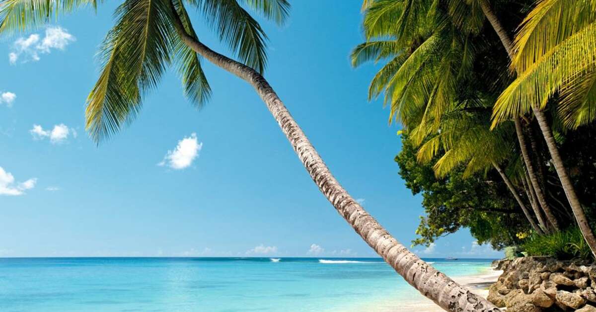 Een foto van The Sands Barbados