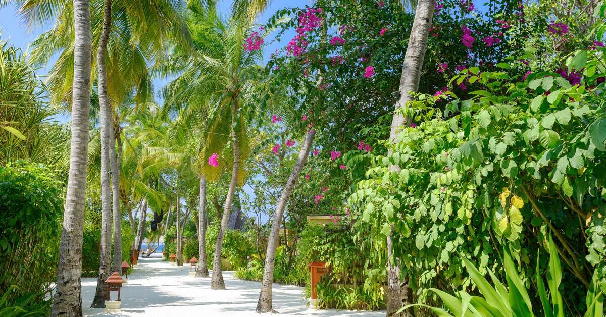 Een foto van Banyan Tree Vabbinfaru