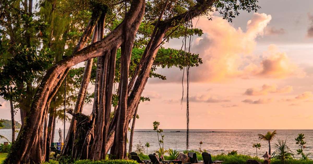 Een foto van Khao Lak Merlin Resort