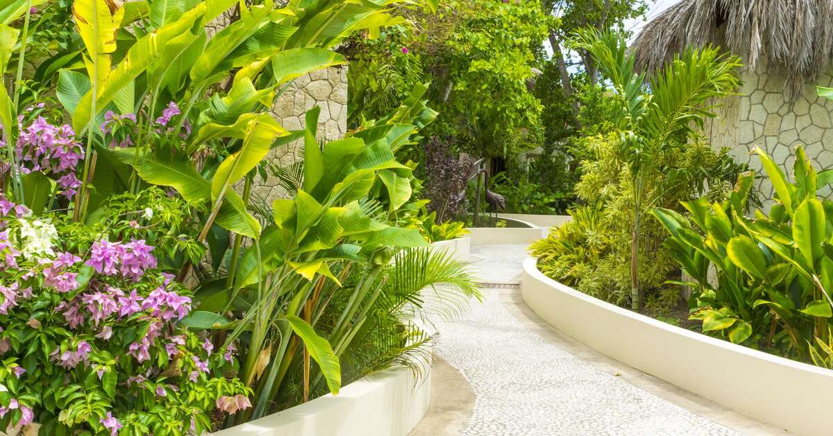 Een foto van Ocean Cliff Hotel Negril