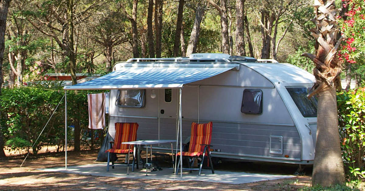 Een foto van Camping La Baume - La Palmeraie