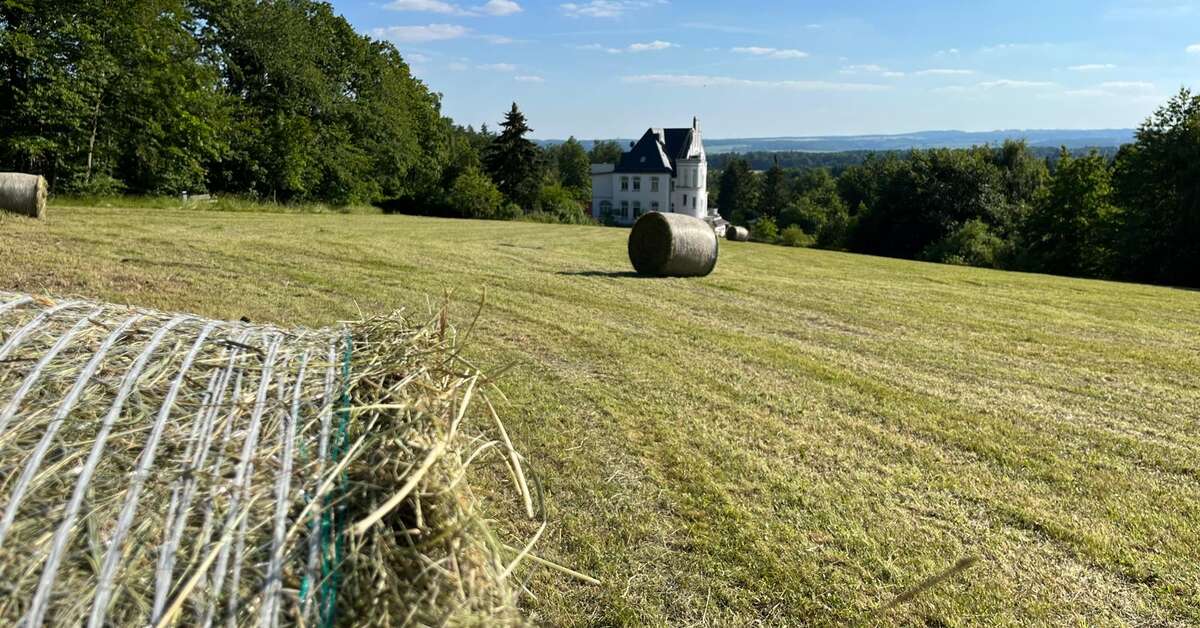 Een foto van Landhotel Harz