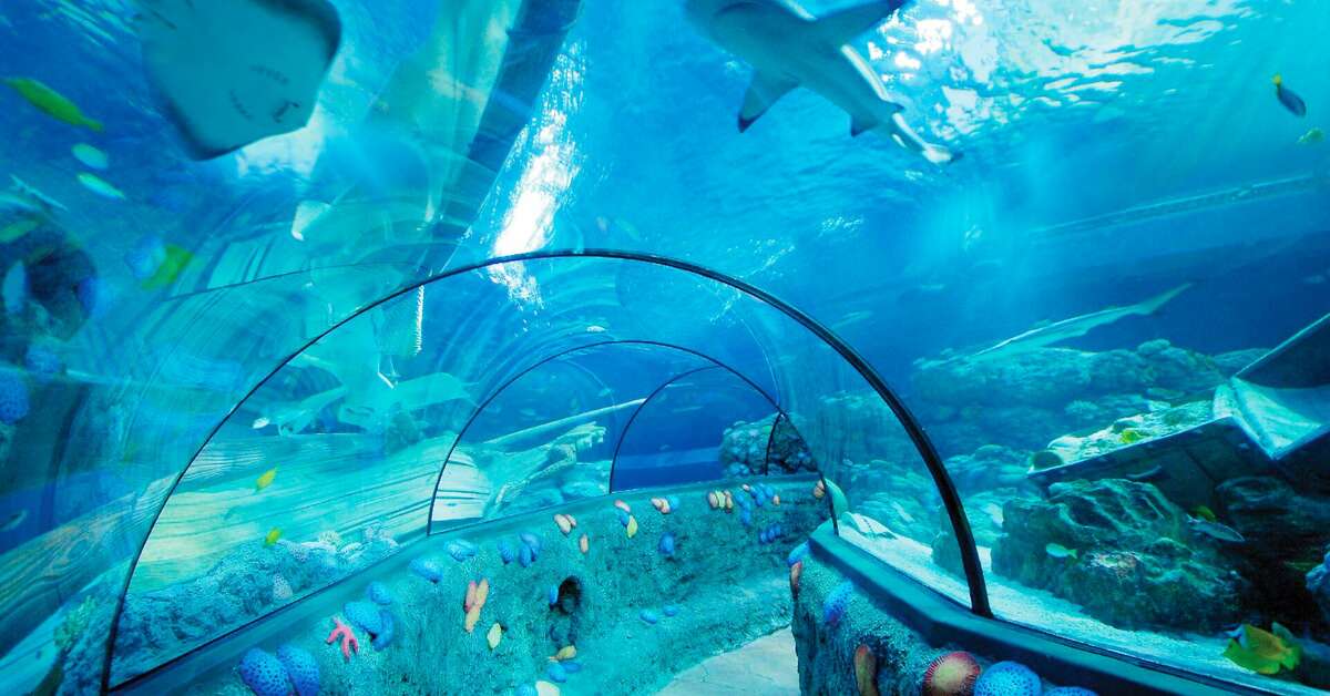 Een foto van Gardaland Magic Hotel