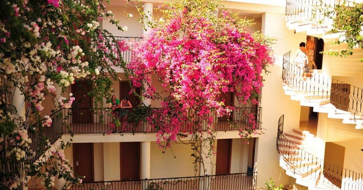 Een foto van de buitenkant van Mavruka Hotel