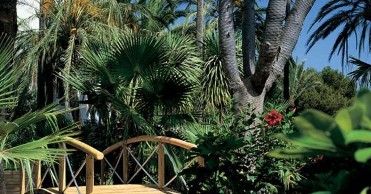Een foto van het terras bij Los Monteros Spa & Golf Resort