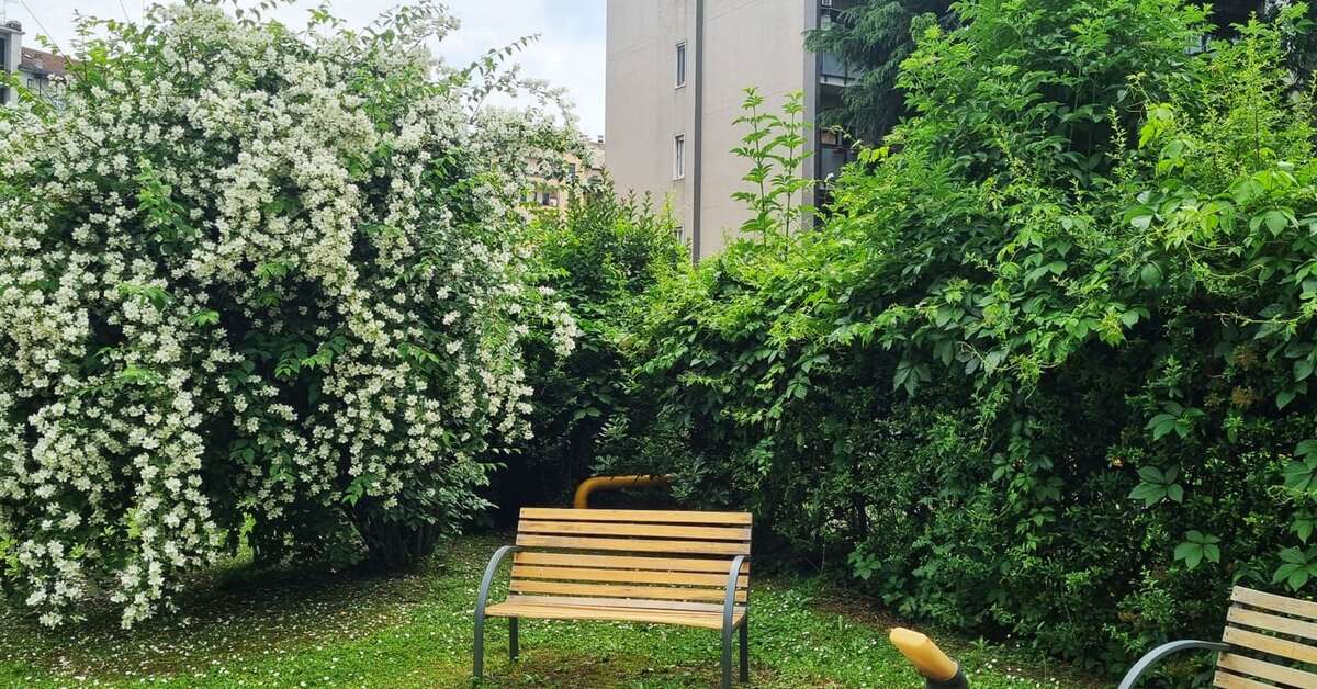 Een foto van iH Aparthotel Milano Argonne Park