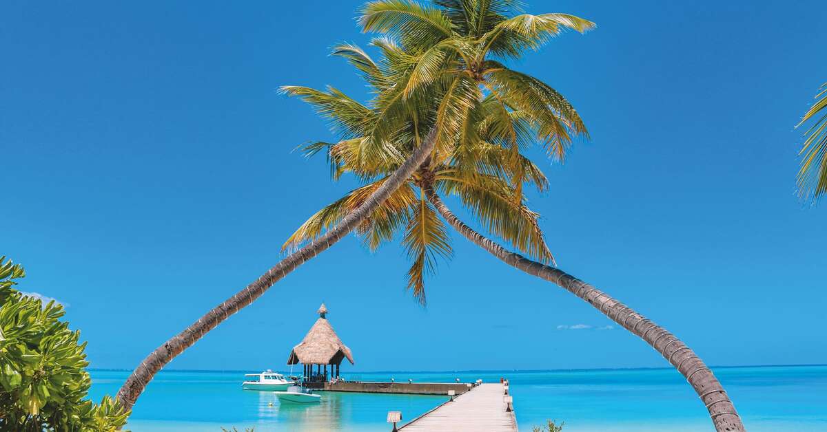 Een foto van Canareef Resort Maldives