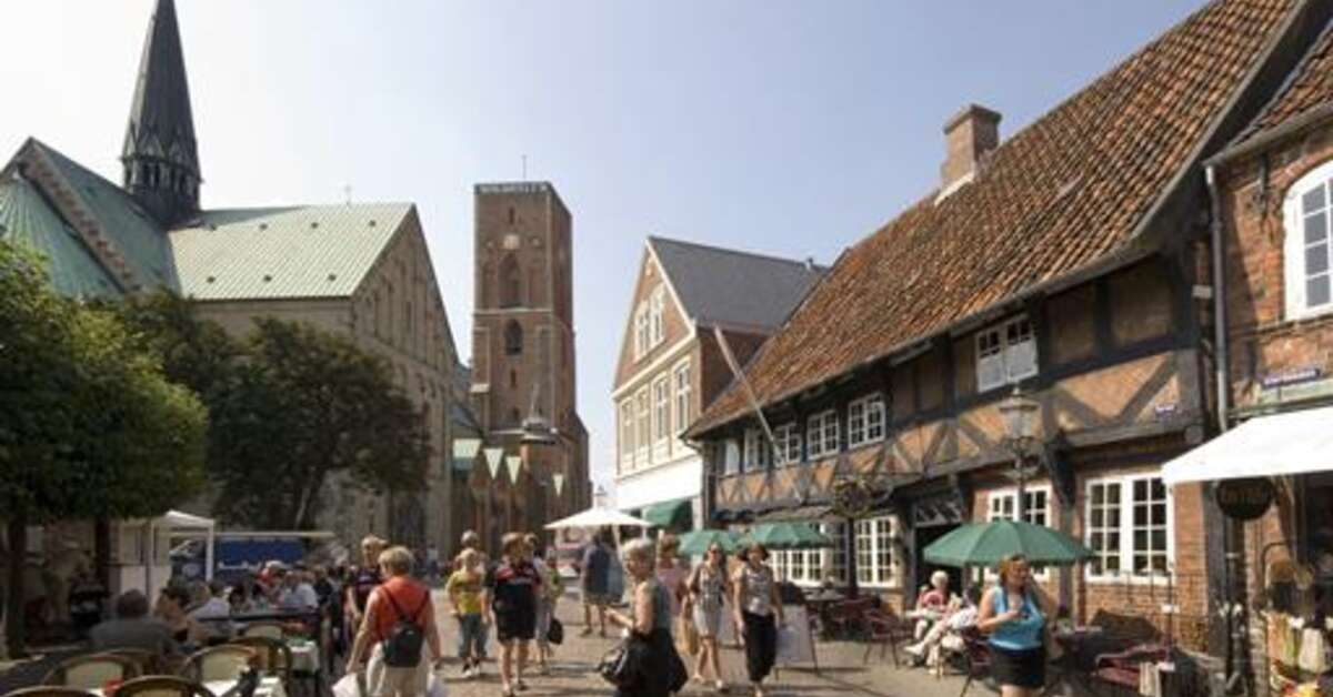 Een foto van Ribe Byferie