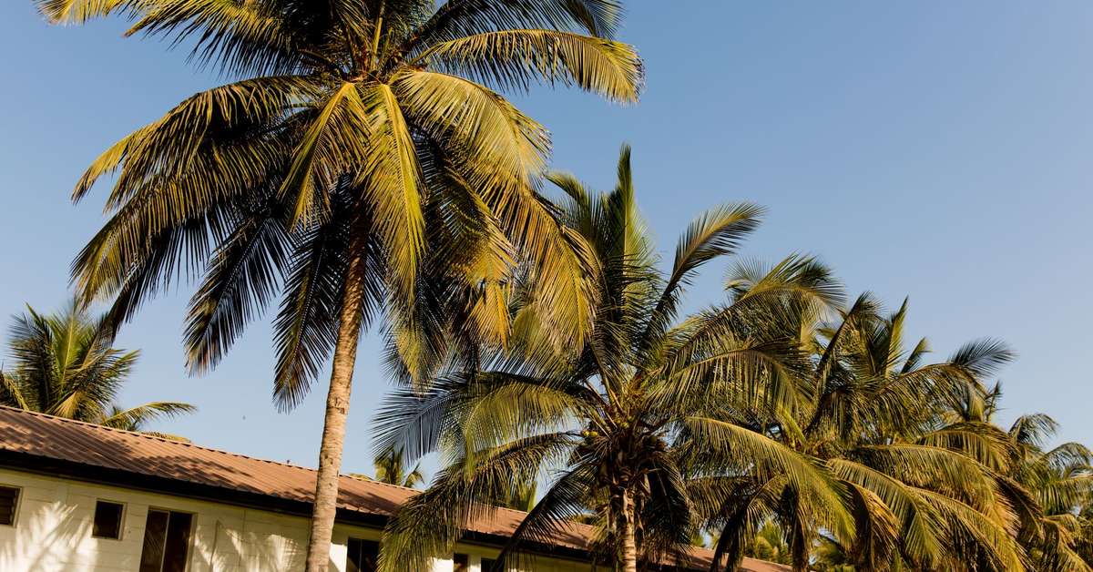 Een foto van de buitenkant van Bungalow Beach Hotel