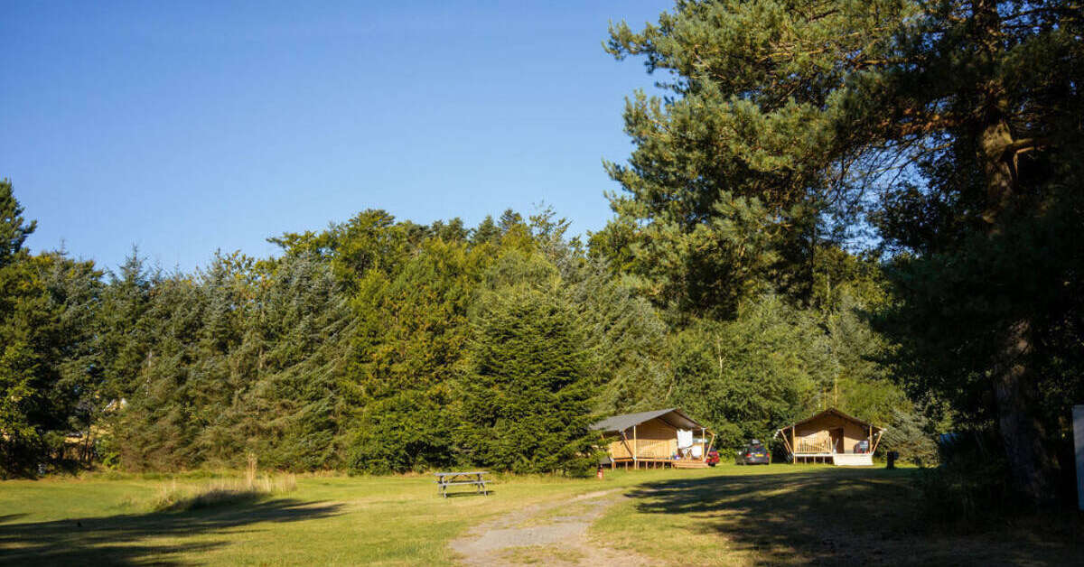 Een foto van Camping Tolne