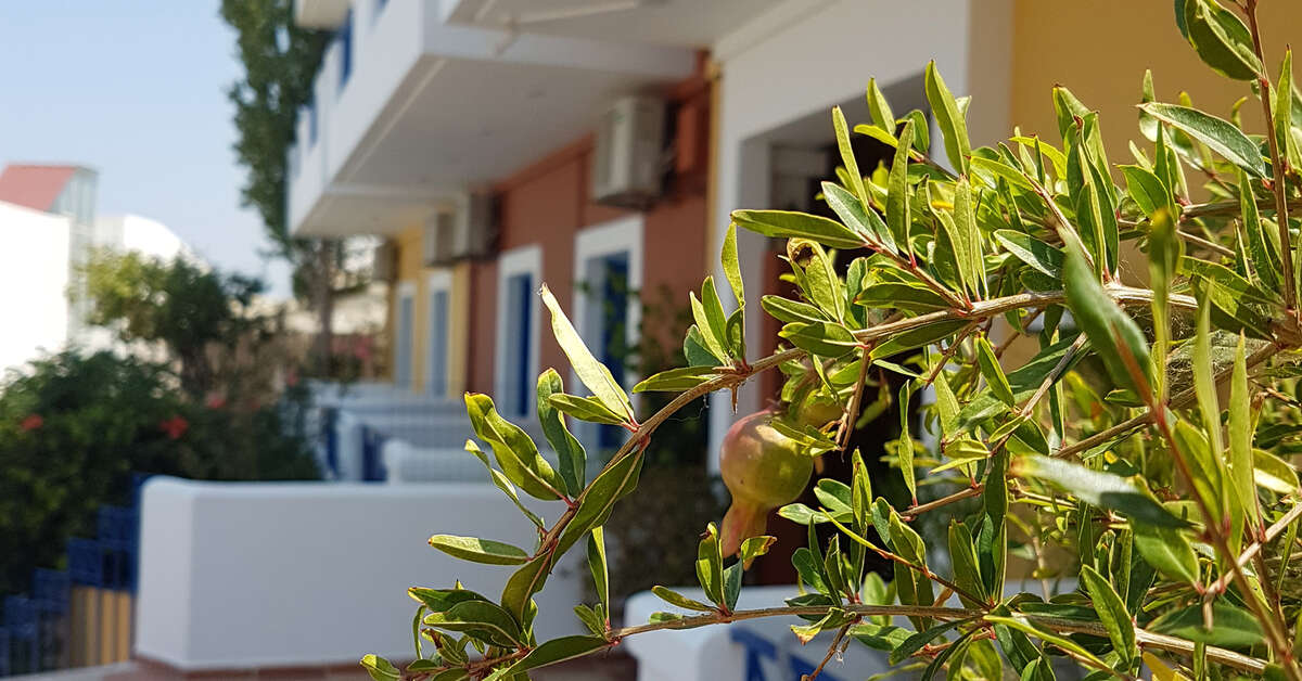 Een foto van Astra Village