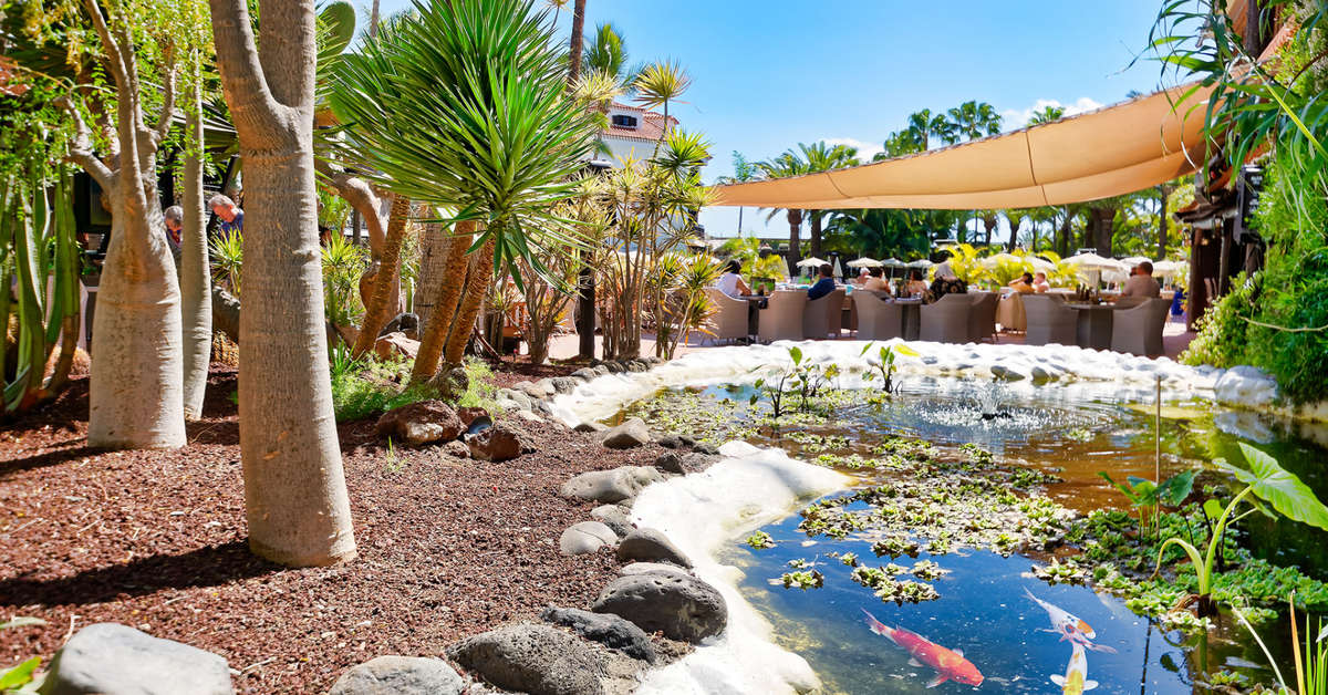 Ein Foto von der Terrasse im Hotel Parque Tropical