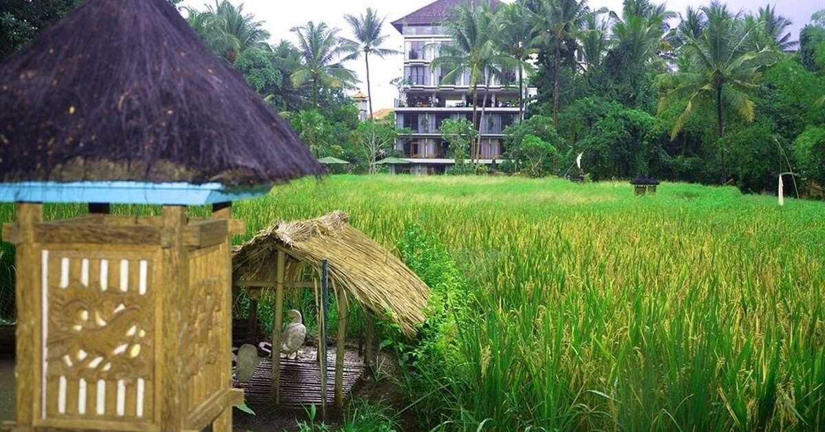 Een foto van Plataran Hotel & spa