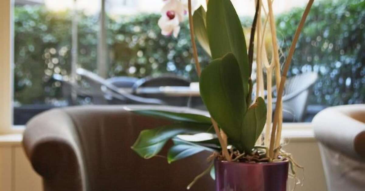 Een foto van Albergo Santa Chiara