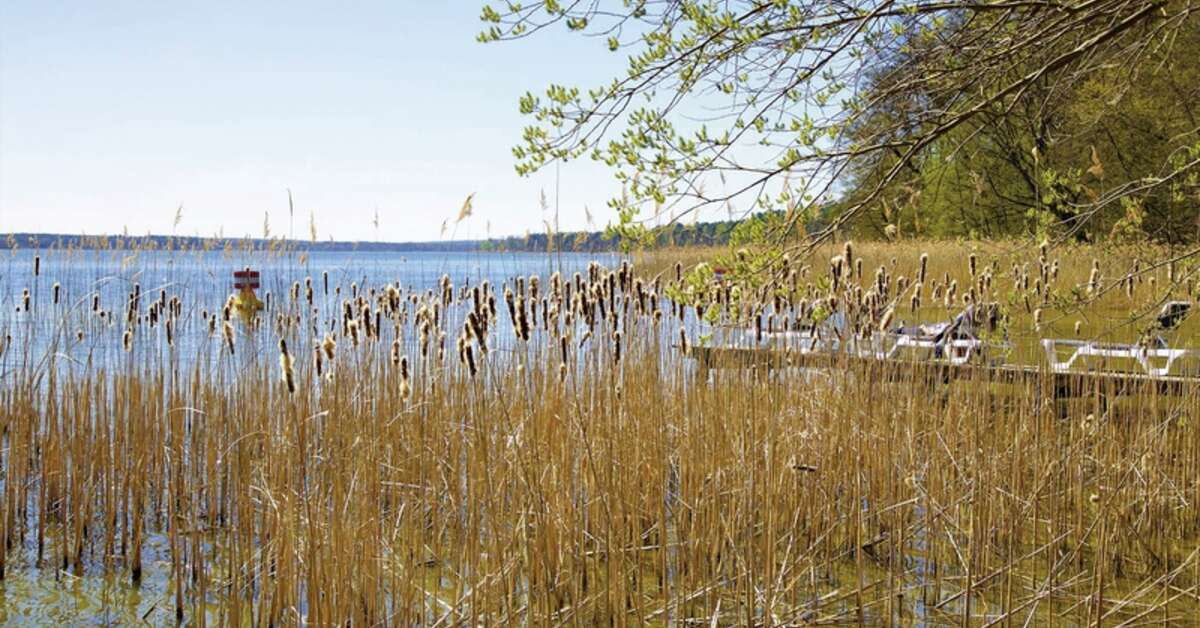 Een foto van A-ja Bad Saarow Resort