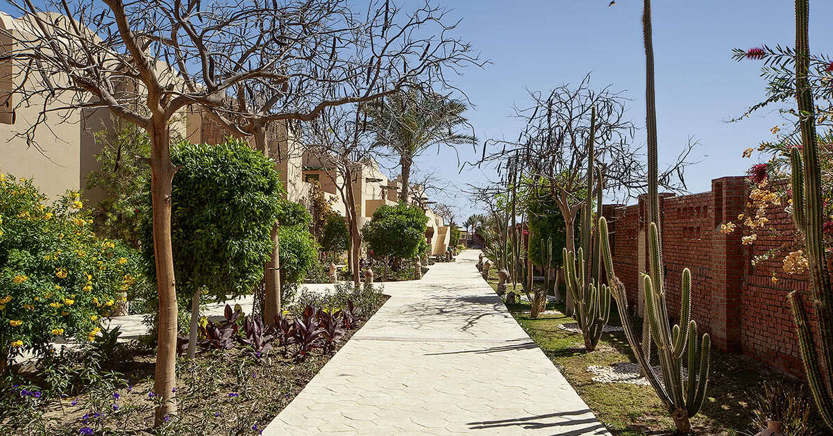 Een foto van Shams Alam Beach Resort