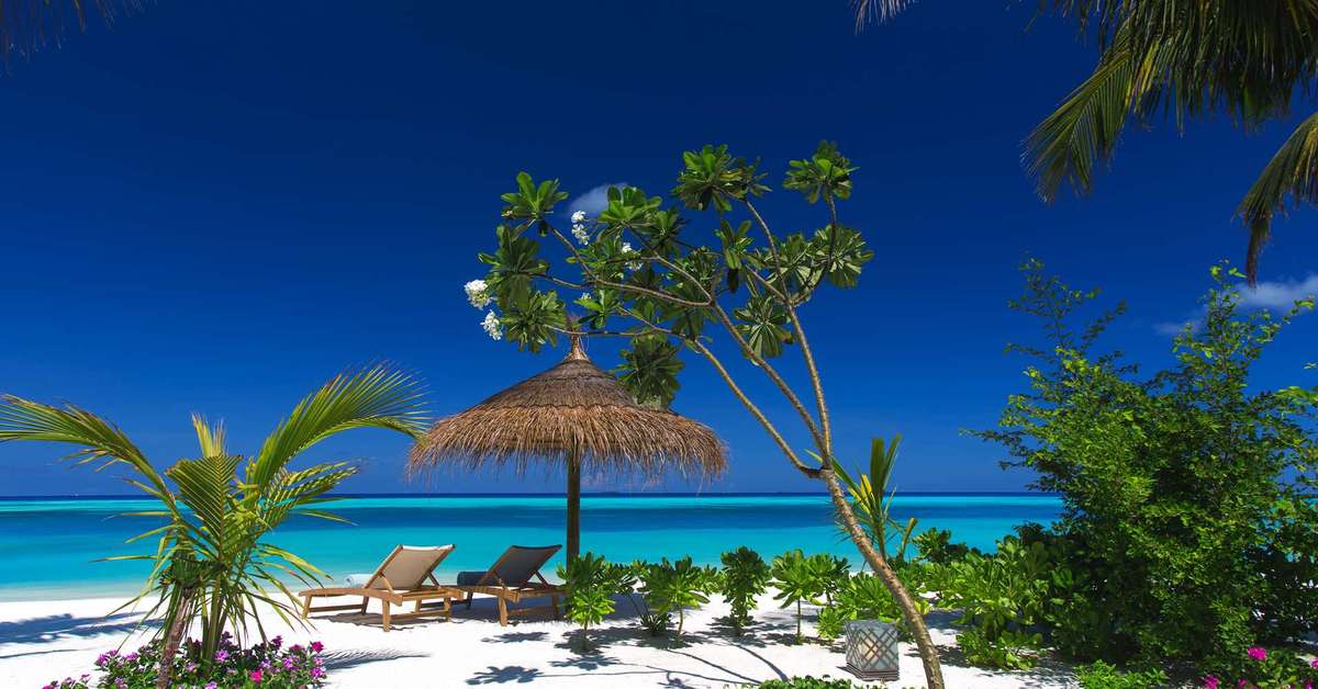 Een foto van Ozen Life Maadhoo