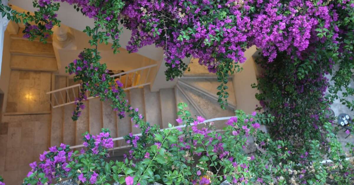 Een foto van het terras bij Relais Corte Palmieri