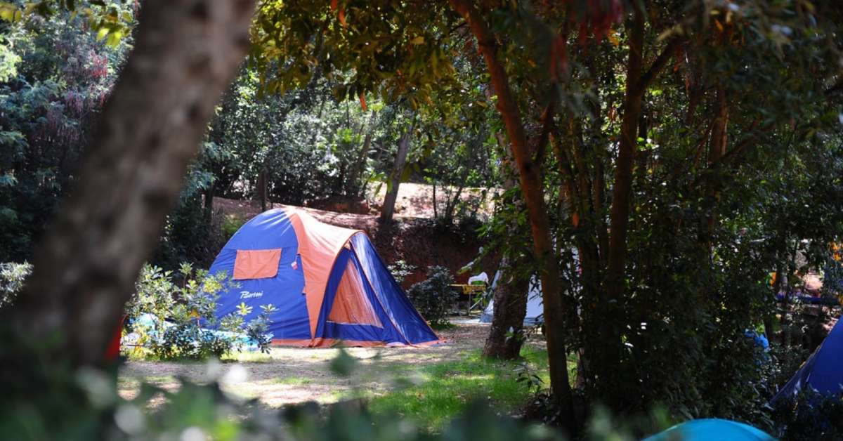 Een foto van Camping Rosselba Le Palme