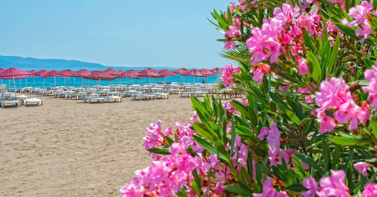 Een foto van het strand bij Bendis Beach Hotel