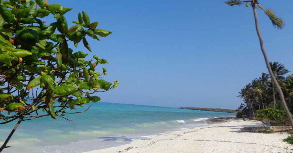 Een foto van het strand bij Reef & Beach Resort