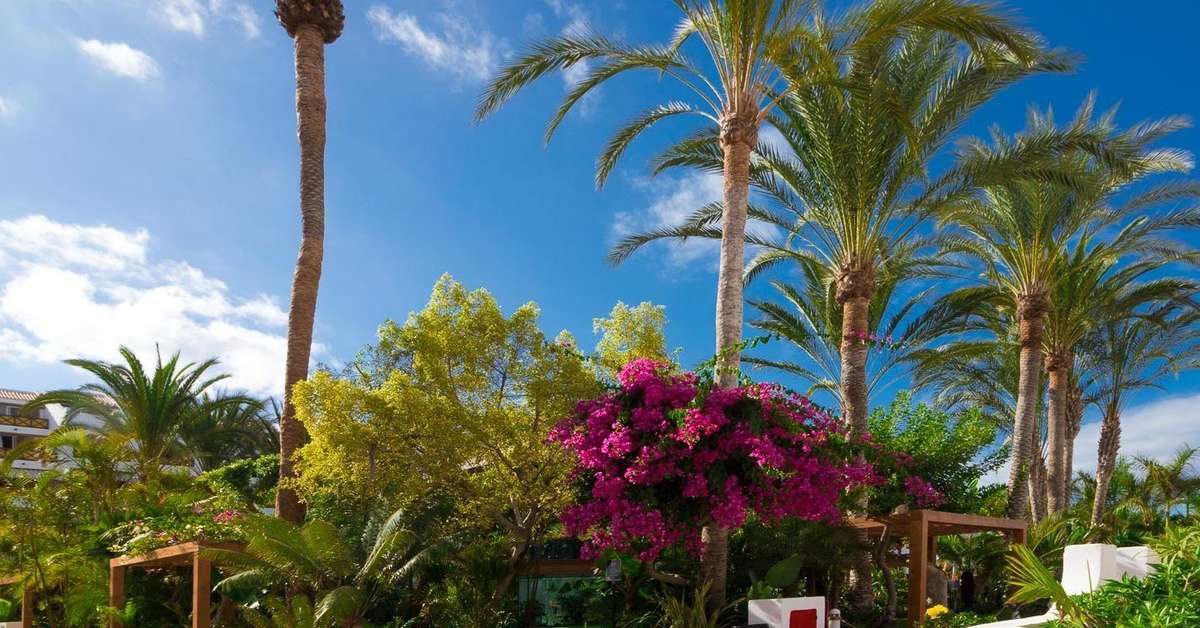 Een foto van het terras bij Parque Santiago III