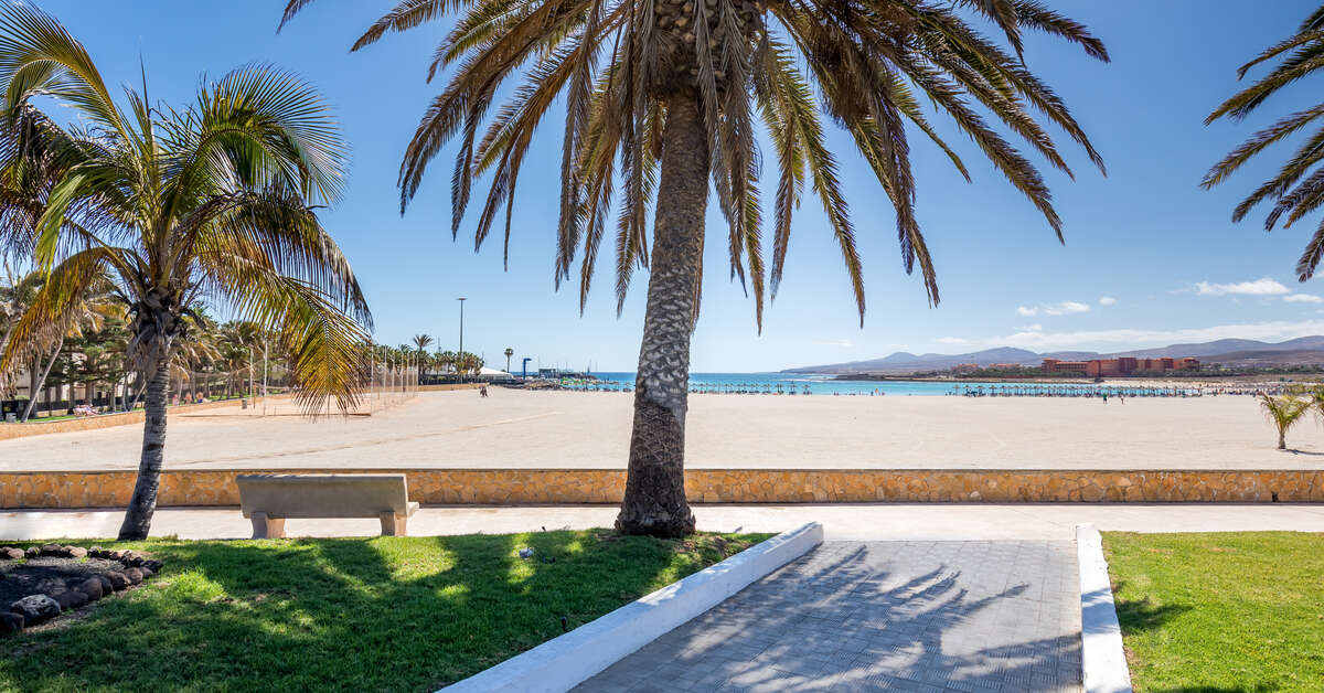 Ein Foto vom Strand beim Barcelo Fuerteventura Royal Level