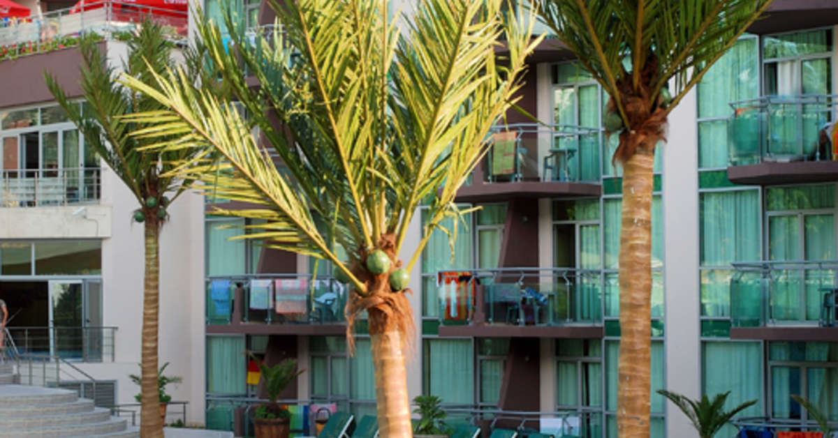 Een foto van SH Dolce Mare