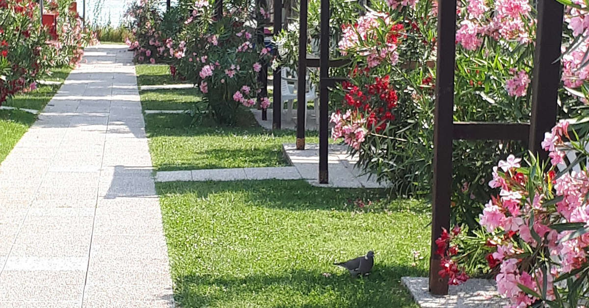 Een foto van Camping Village San Benedetto