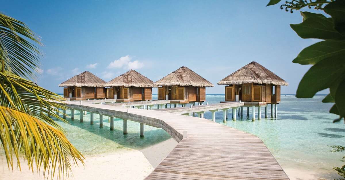 Een foto van LUX South Ari Atoll