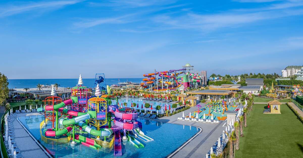 Ein Foto Delphin Imperial
