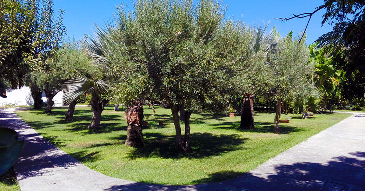Een foto van de buitenkant van Tonicello Resort