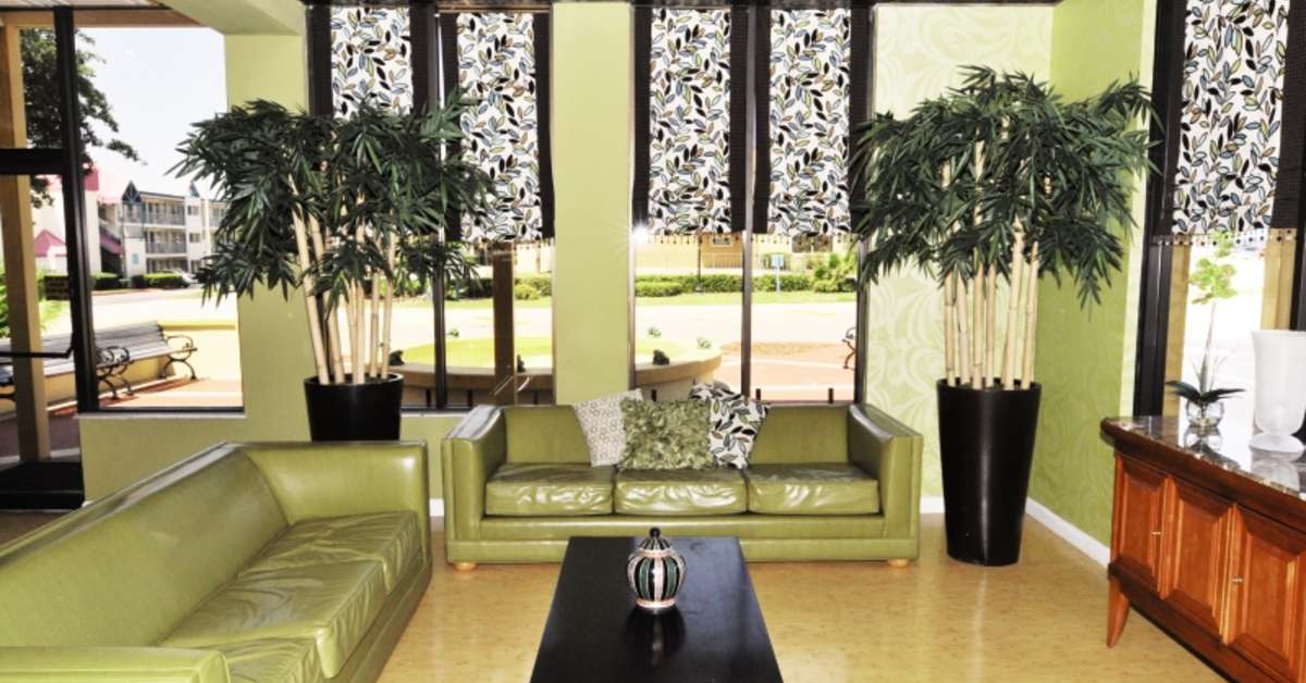 Een foto van Celebration Suites