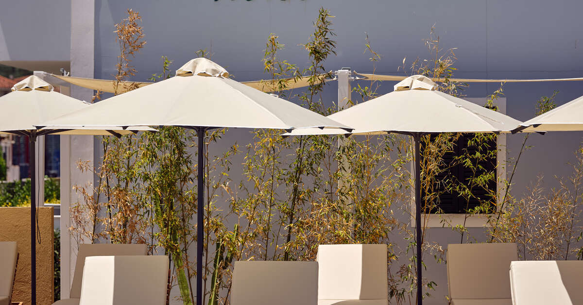 Ein Foto Cactus Hotel