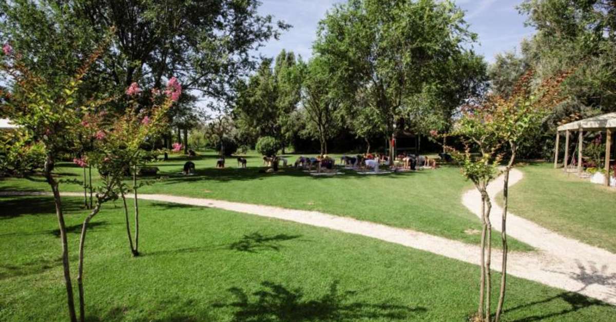 Een foto van Camping Ca Savio