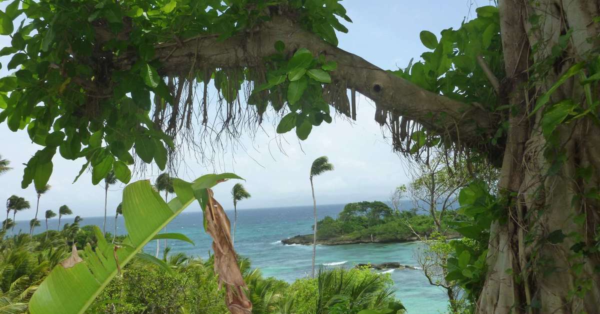 Een foto van Luxury Bahia Principe Cayo Levantado