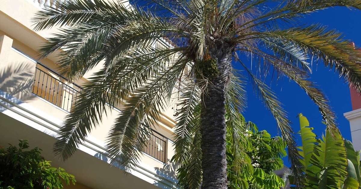 Een foto van de buitenkant van Appartementen Granada Park