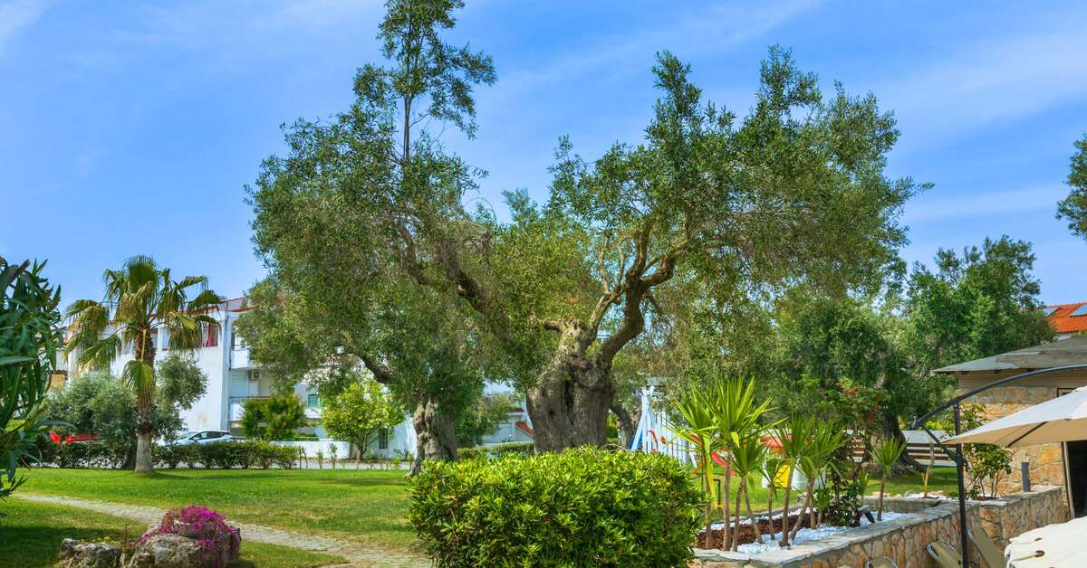 Een foto van Nikiforos Village