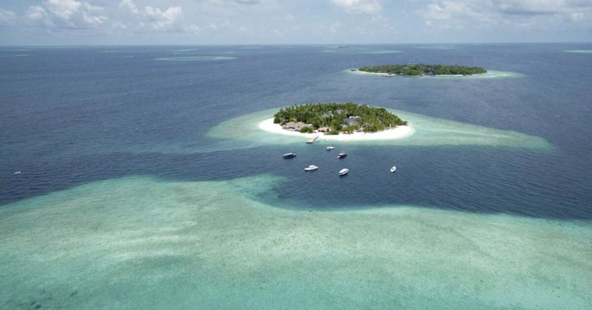 Een foto van Malahini Kuda Bandos