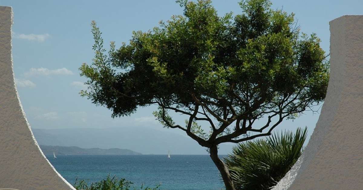 Een foto van Hotel Punta Negra