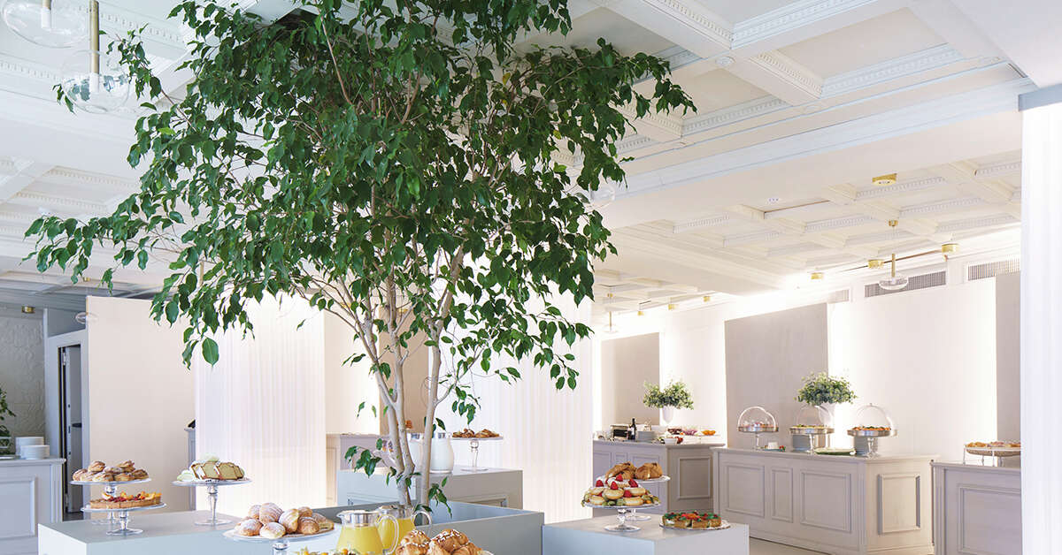 Een foto van het interieur van Atlantis Bay