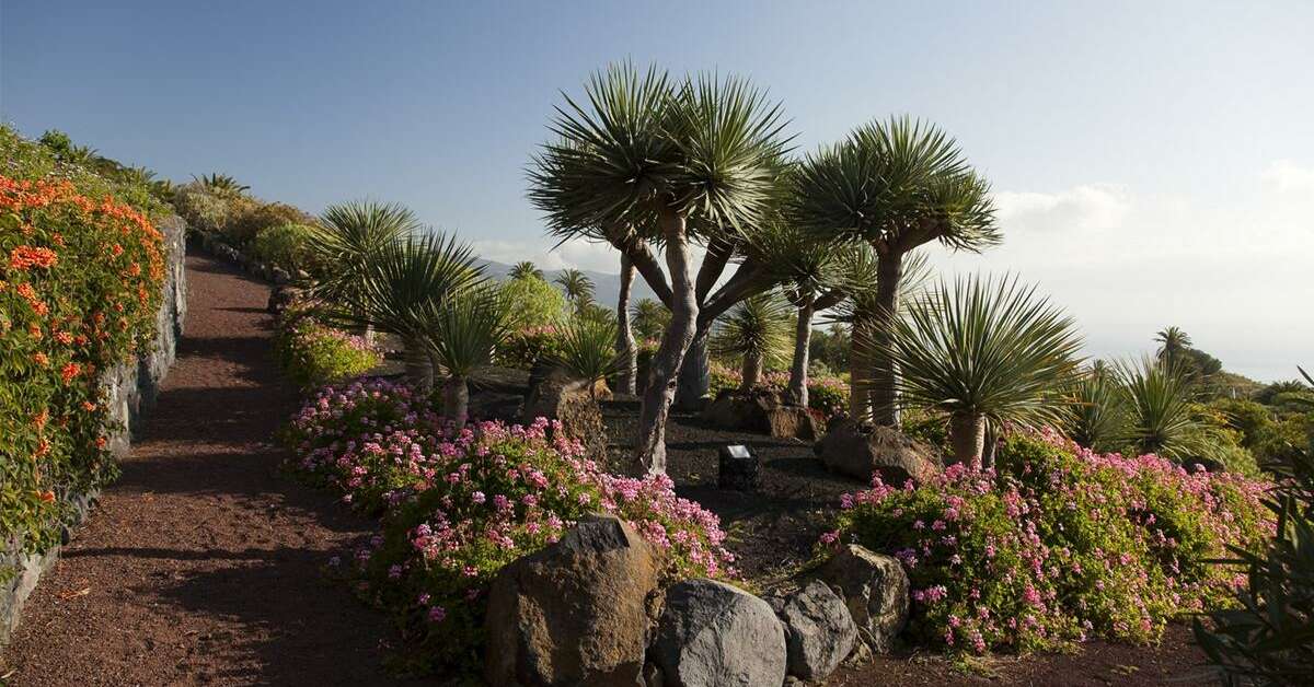 Een foto van het terras bij Parador de La Palma