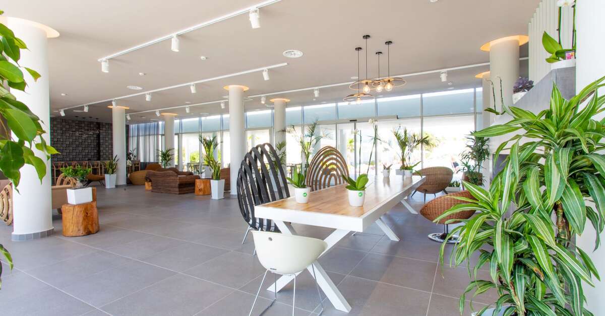 Een foto van het interieur van White Dreams Resort