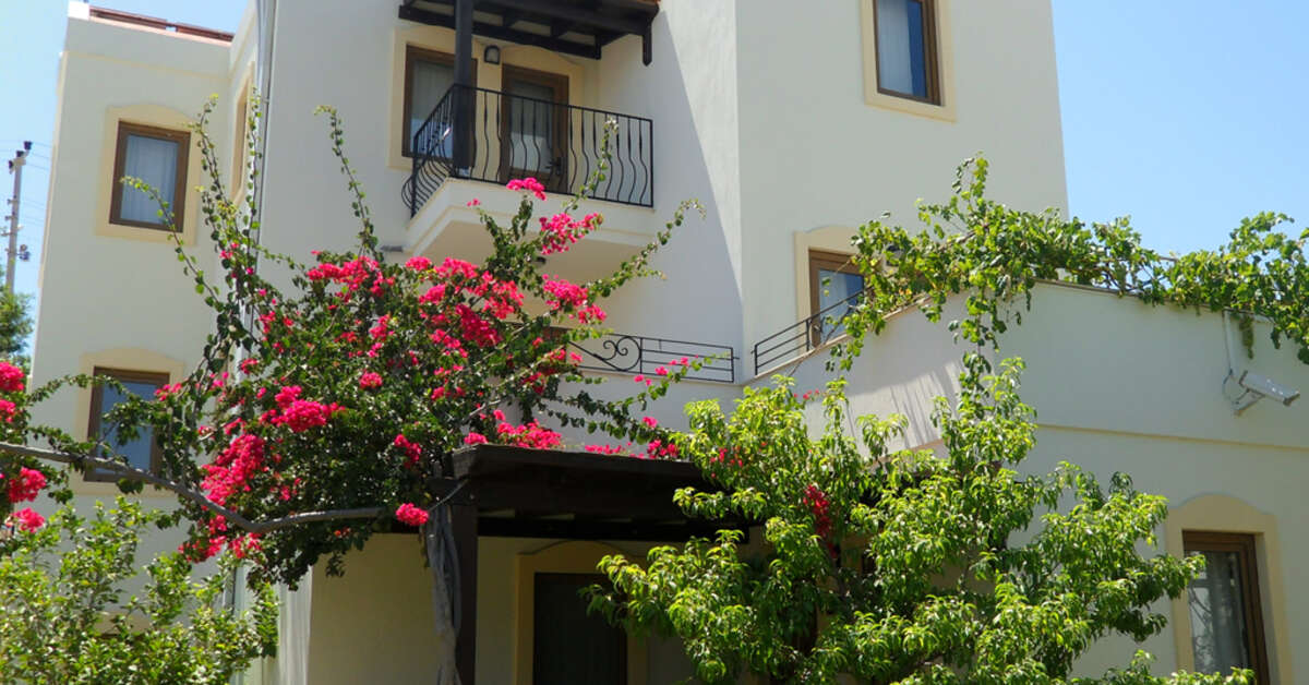 Een foto van Zera Bodrum