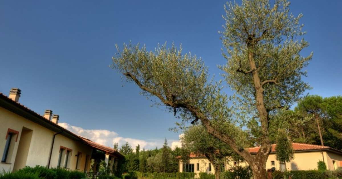 Ein Foto Montebelli Agriturismo Country Hotel