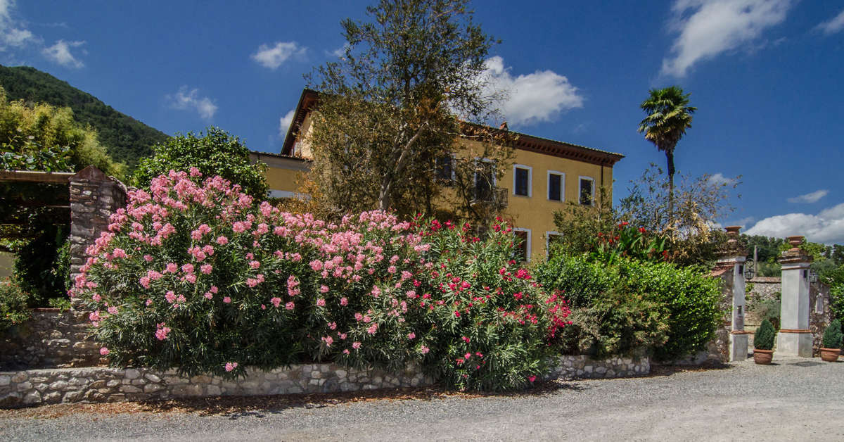 Een foto van Villa Cheli