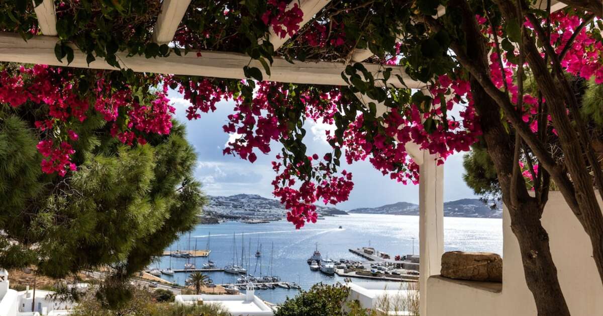 Een foto van de buitenkant van Rhenia Hotel